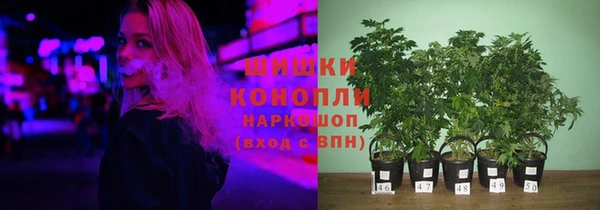 молекула духа Магадан
