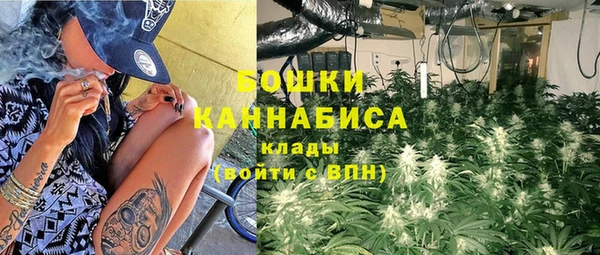 сатива Березники